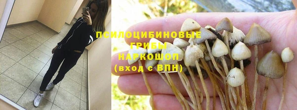 Альфа ПВП Горно-Алтайск