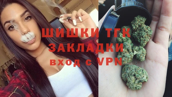 крисы Горнозаводск