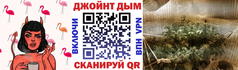 как найти наркотики  Жигулёвск  Шишки марихуана конопля 